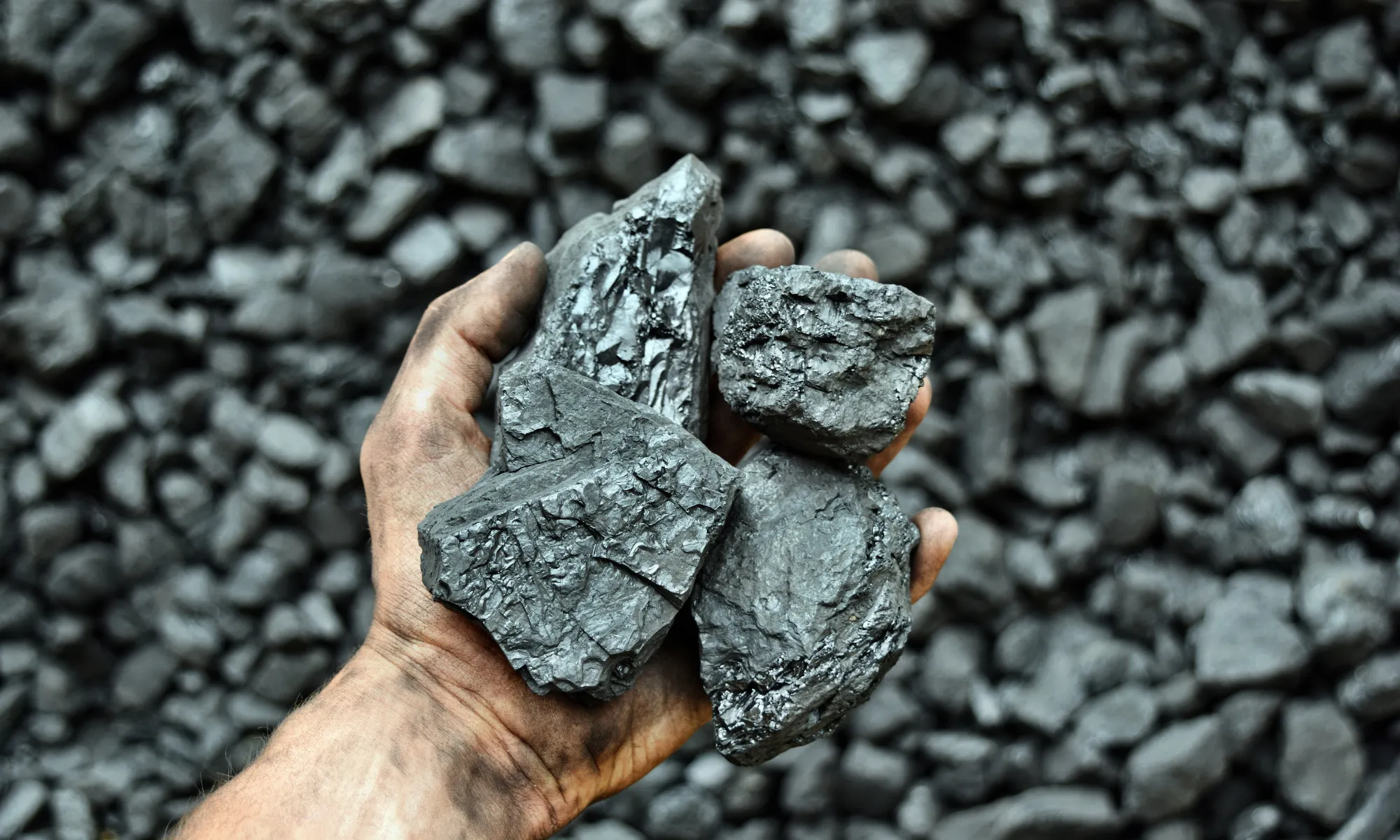 Coal