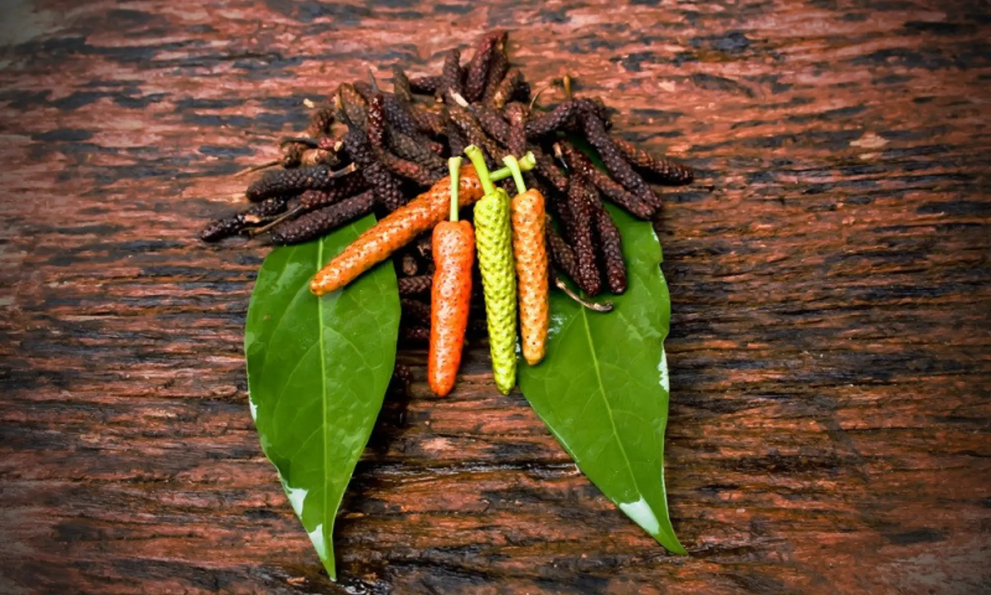 Javanese Chili