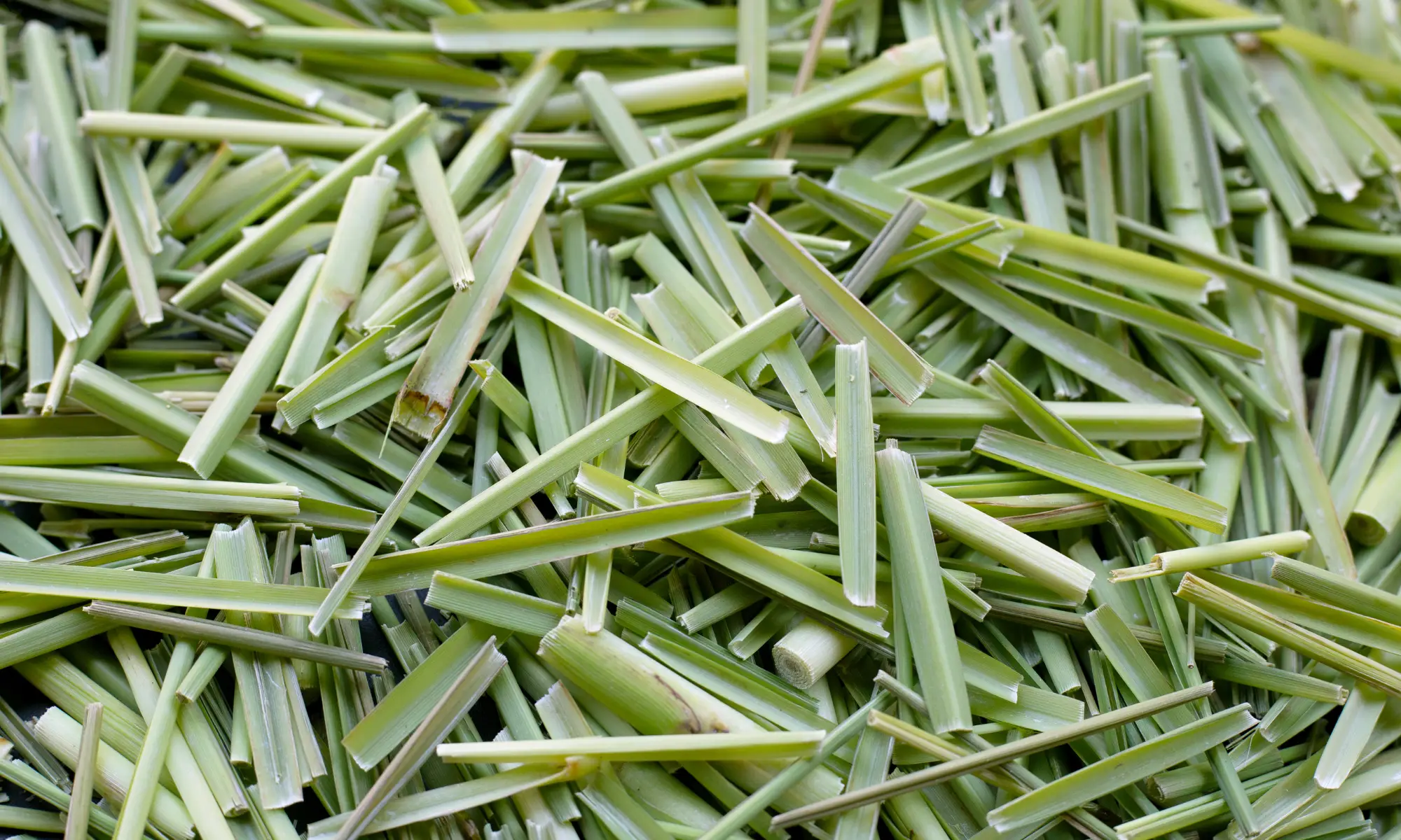 Lemongrass