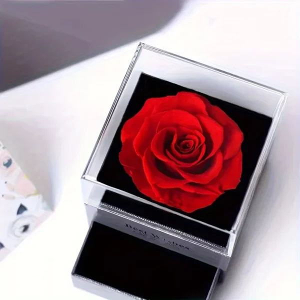 Elegant Infinity Heart Pendant Necklace – Luxurious Rose Gift Box Included | Perfect Christmas, Valentine’s Day & Anniversary Gift for Girlfriend or Wife - Image 5