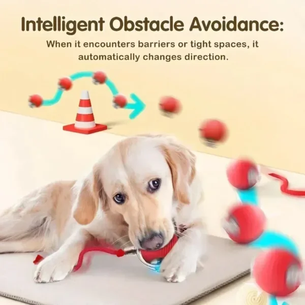 Cat Interactive Ball Toy | Automatic Rolling Ball with Tail, Rechargeable Smart Pet Toy for Cats & Kittens | Intelligent Mouse Design for Active Play and Exercise - Image 5