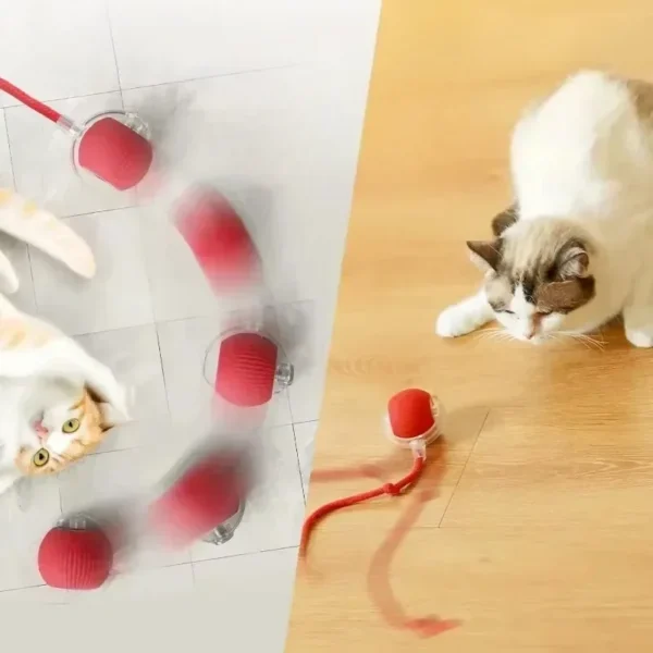 Cat Interactive Ball Toy | Automatic Rolling Ball with Tail, Rechargeable Smart Pet Toy for Cats & Kittens | Intelligent Mouse Design for Active Play and Exercise - Image 3