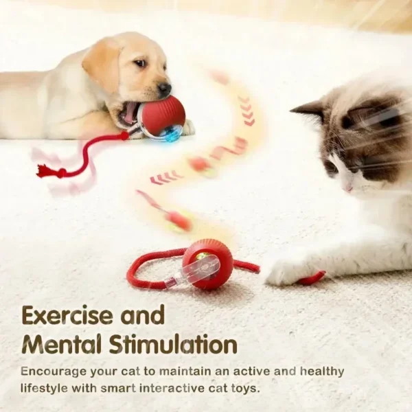 Cat Interactive Ball Toy | Automatic Rolling Ball with Tail, Rechargeable Smart Pet Toy for Cats & Kittens | Intelligent Mouse Design for Active Play and Exercise - Image 4