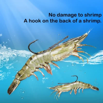 Live Fish Hook with Shrimp Back & Red Oil Fishing Float | 15pcs for Perch Fishing | Premium Quality Tackle